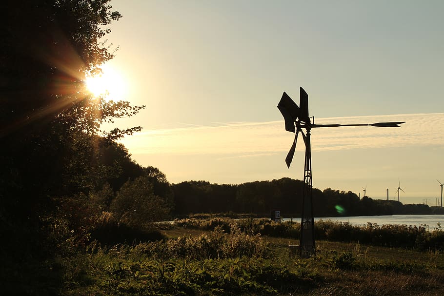 netherlands, brielse meer, sky, sunset, plant, nature, beauty in nature HD wallpaper