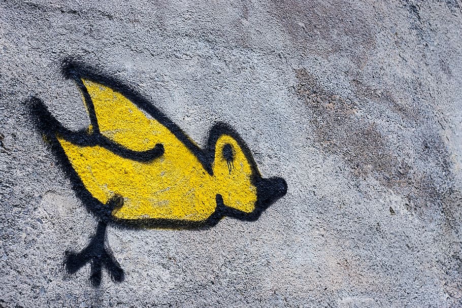 duck print on gray concrete pavment, yellow, wall - building feature, HD wallpaper