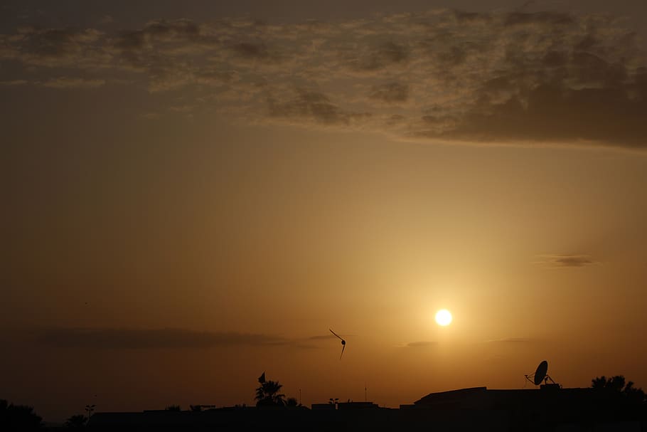 sunset, sky, night, silhouette, beauty in nature, scenics - nature HD wallpaper