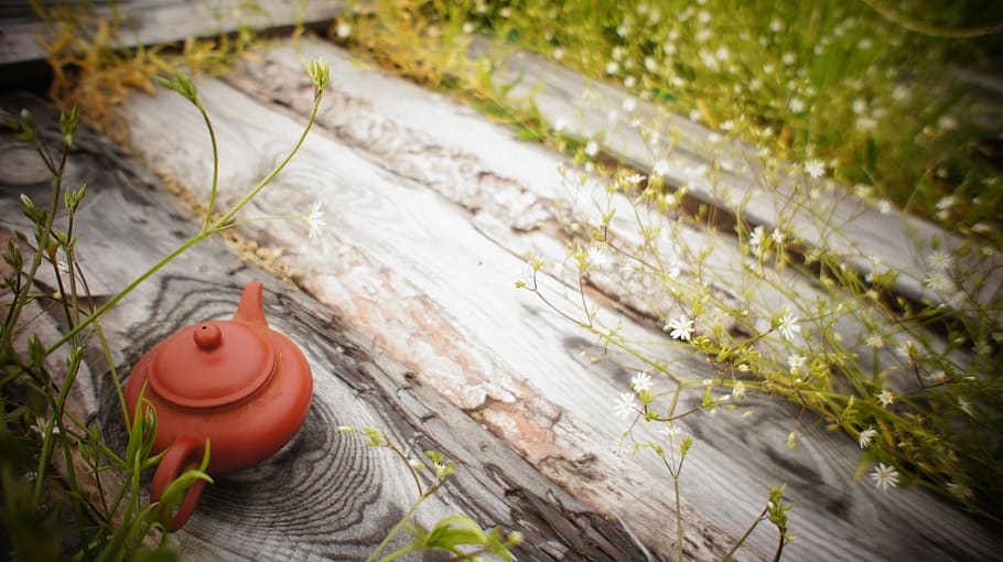 tea, flowers, kettle, teapot, woods, nature, plant, wood - material HD wallpaper