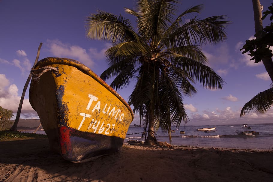 Brown and Black Boat on Shore Near Coconut Trees Under Blue Sky and Clouds HD wallpaper