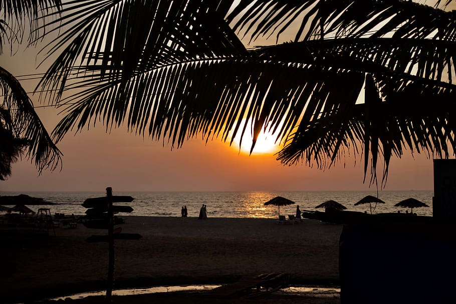 india, goa, ocean, tropical, asia, sunset, beach, sea, water HD wallpaper