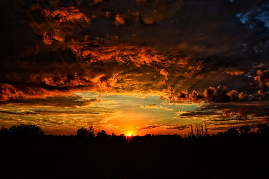 Silhouette of Trees Under Cloudy Sky during Sunset, backlight HD wallpaper