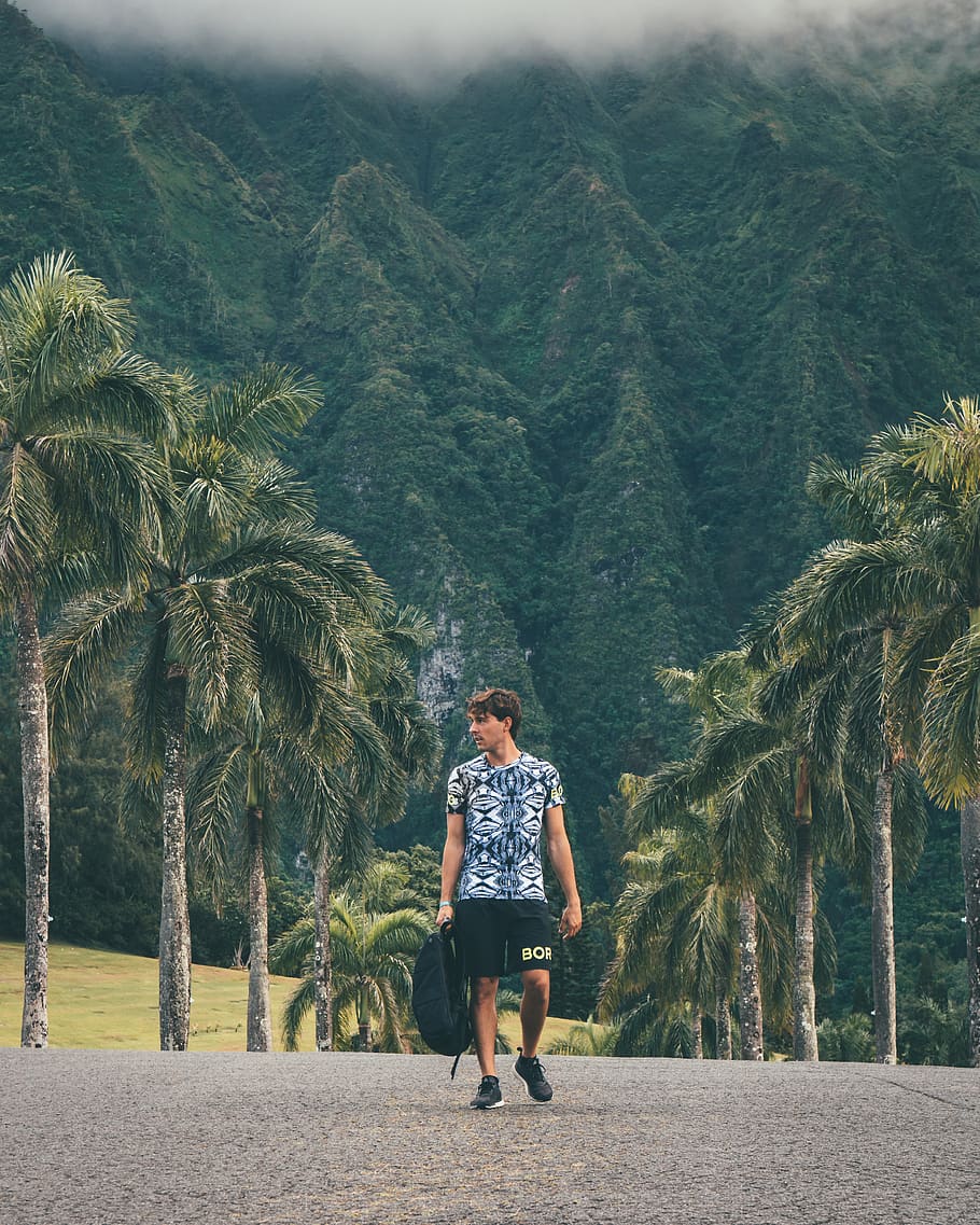 man walking on road, full length, one person, tree, plant, real people HD wallpaper