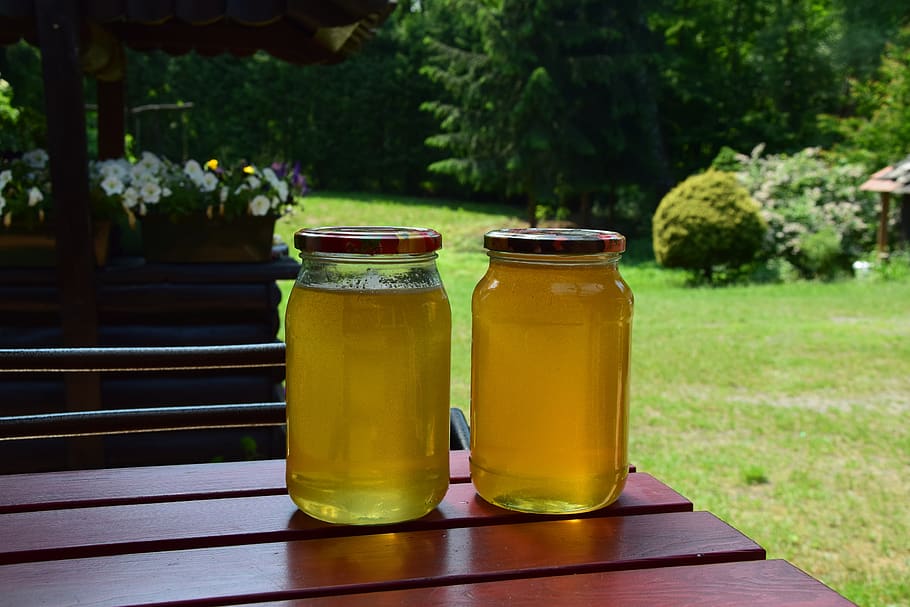 honey, spring, nature, bees, insect, garden, floral, food and drink HD wallpaper