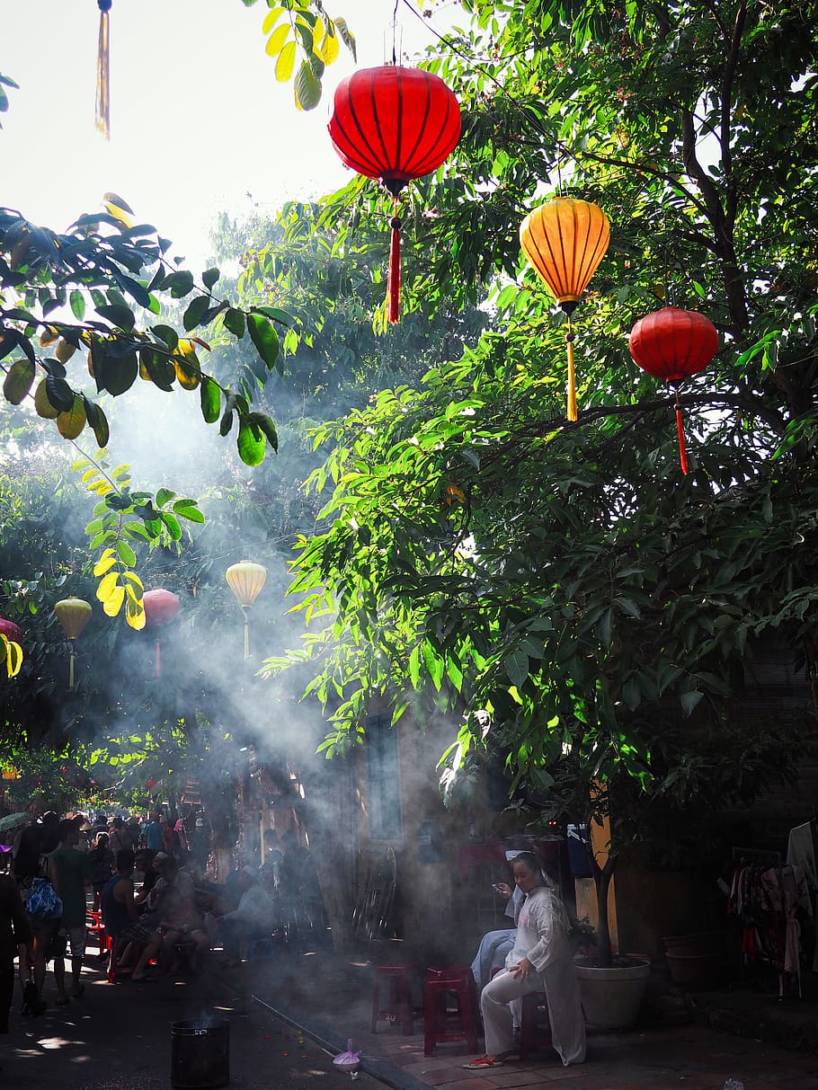 vietnam, hội an, trees, lantern, hoi an, people, street, plant, HD wallpaper