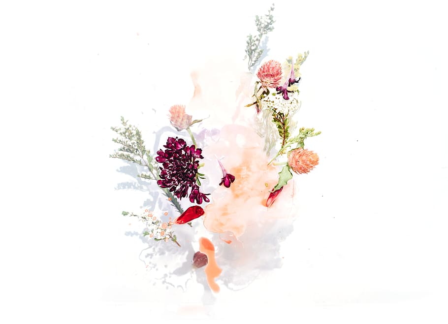 bouquet of assorted flowers vector graphic, leafe, stem, simple HD wallpaper