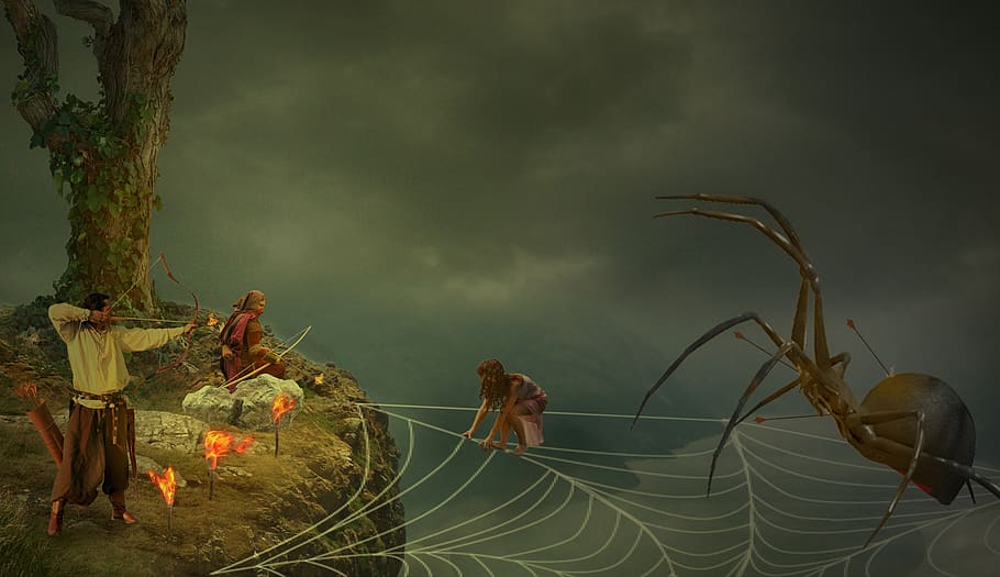 spider, risk, insect, rescue, weird, creepy, dangerous, cobweb HD wallpaper