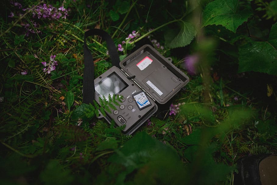black device near plants, technology, growth, nature, no people HD wallpaper