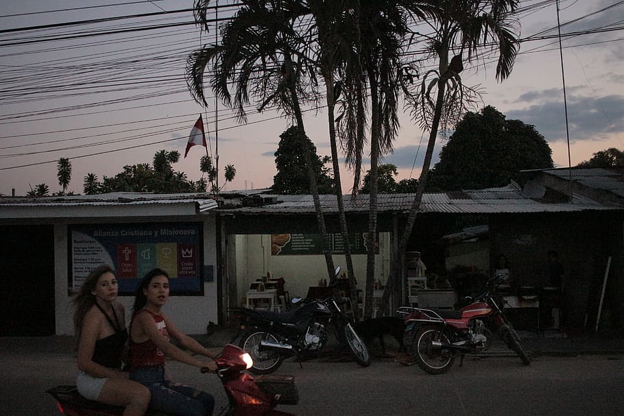 peru, tarapoto, transportation, mode of transportation, tree HD wallpaper