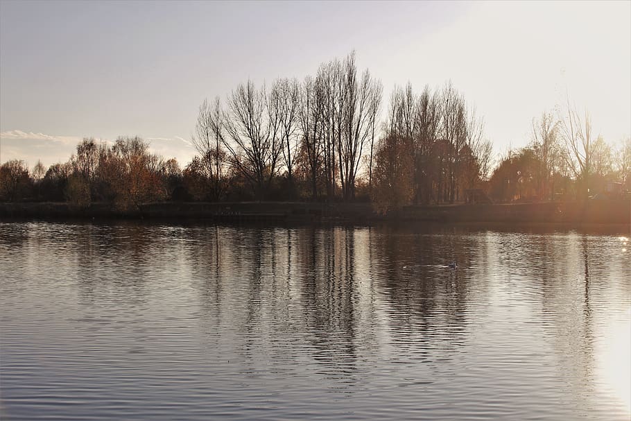 sun, water, tree, reflection, tranquility, lake, waterfront HD wallpaper