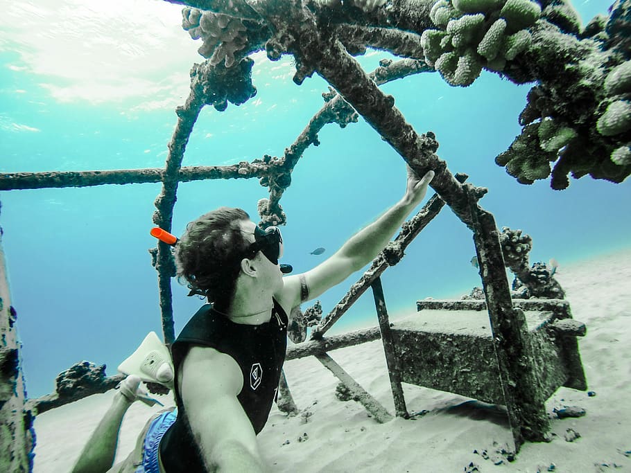 Swimming underwater., united states, o‘ahu, diving, snorekling HD wallpaper