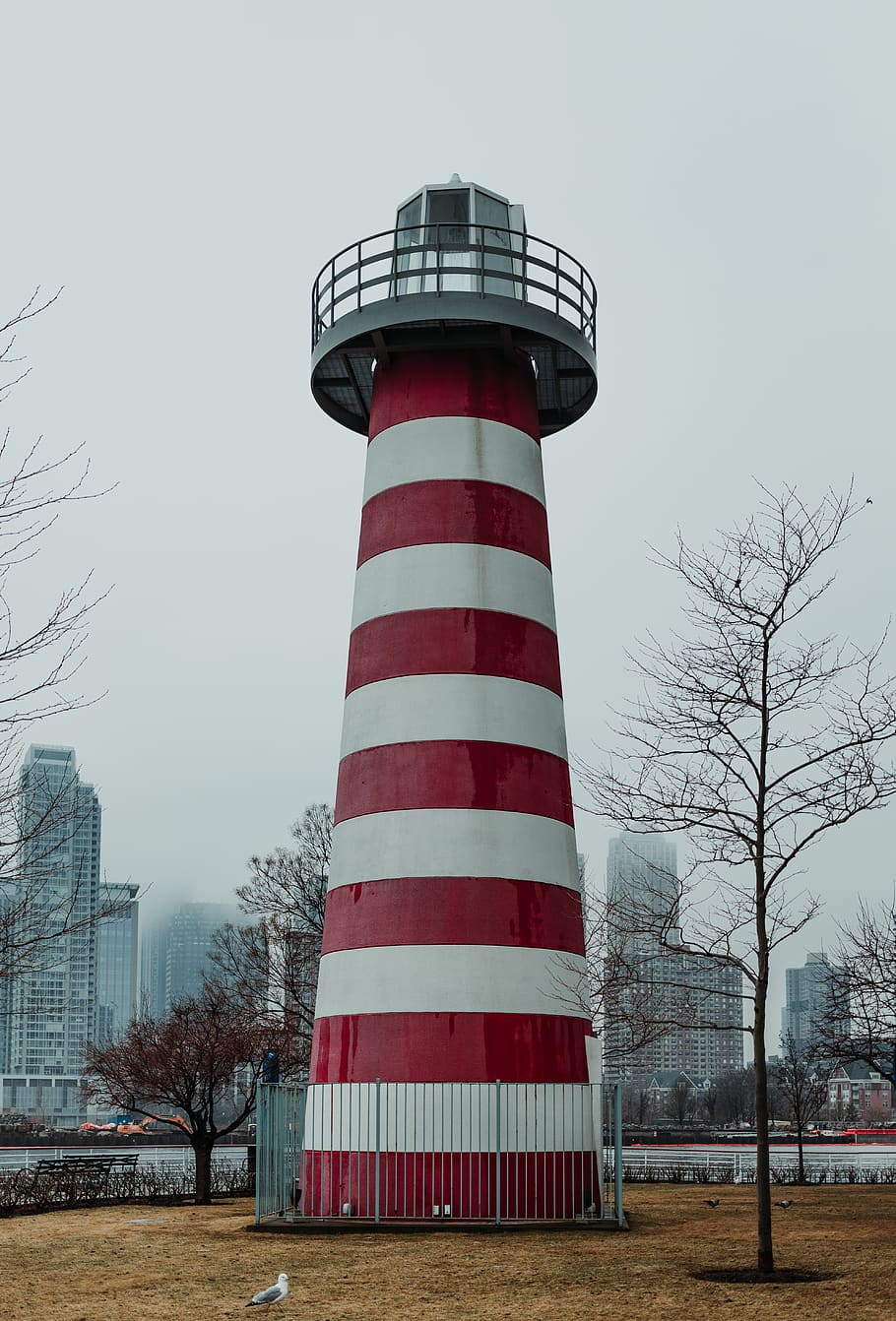 lighthouse near bare trees during day, architecture, building HD wallpaper