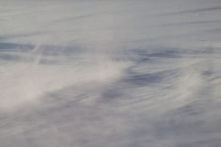 snow, blowing, drifting, cold, winter, fresh, snowfall, nature HD wallpaper