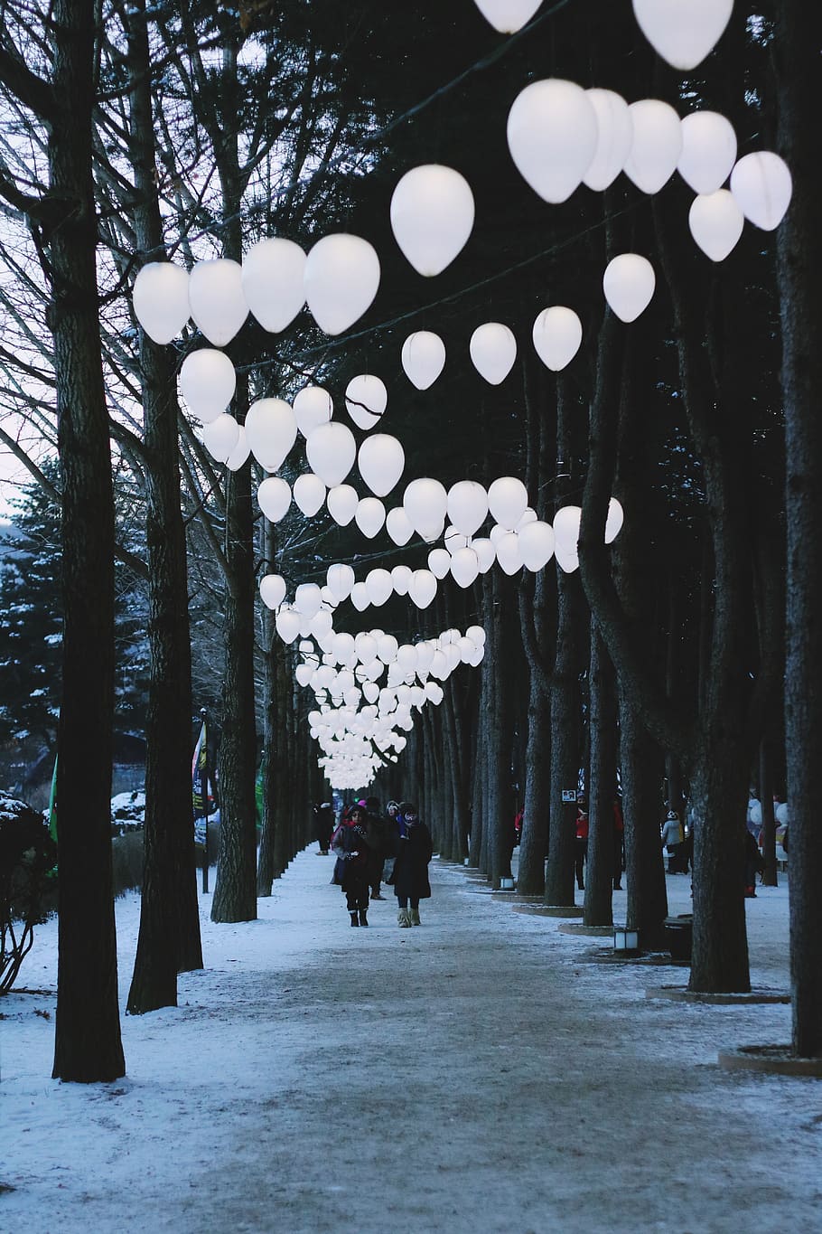 korea, tree, trees, lamp, light, travel, snow, winter, lighting equipment HD wallpaper
