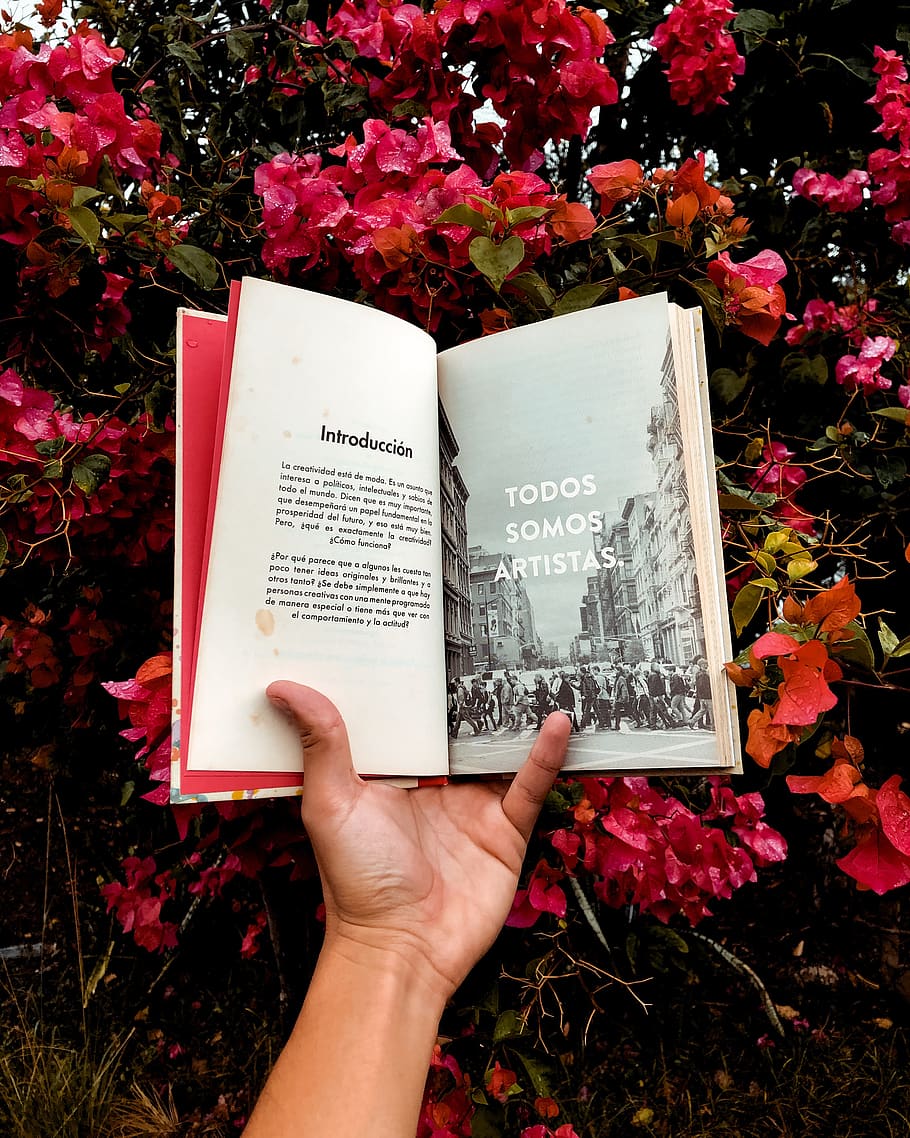 Person Holding Book, flowers, hand, page, human hand, plant, flowering plant HD wallpaper