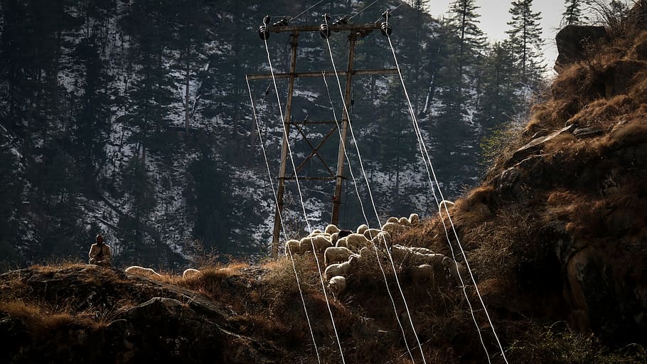 cable car frame with posts, person, human, mammal, animal, wildlife HD wallpaper