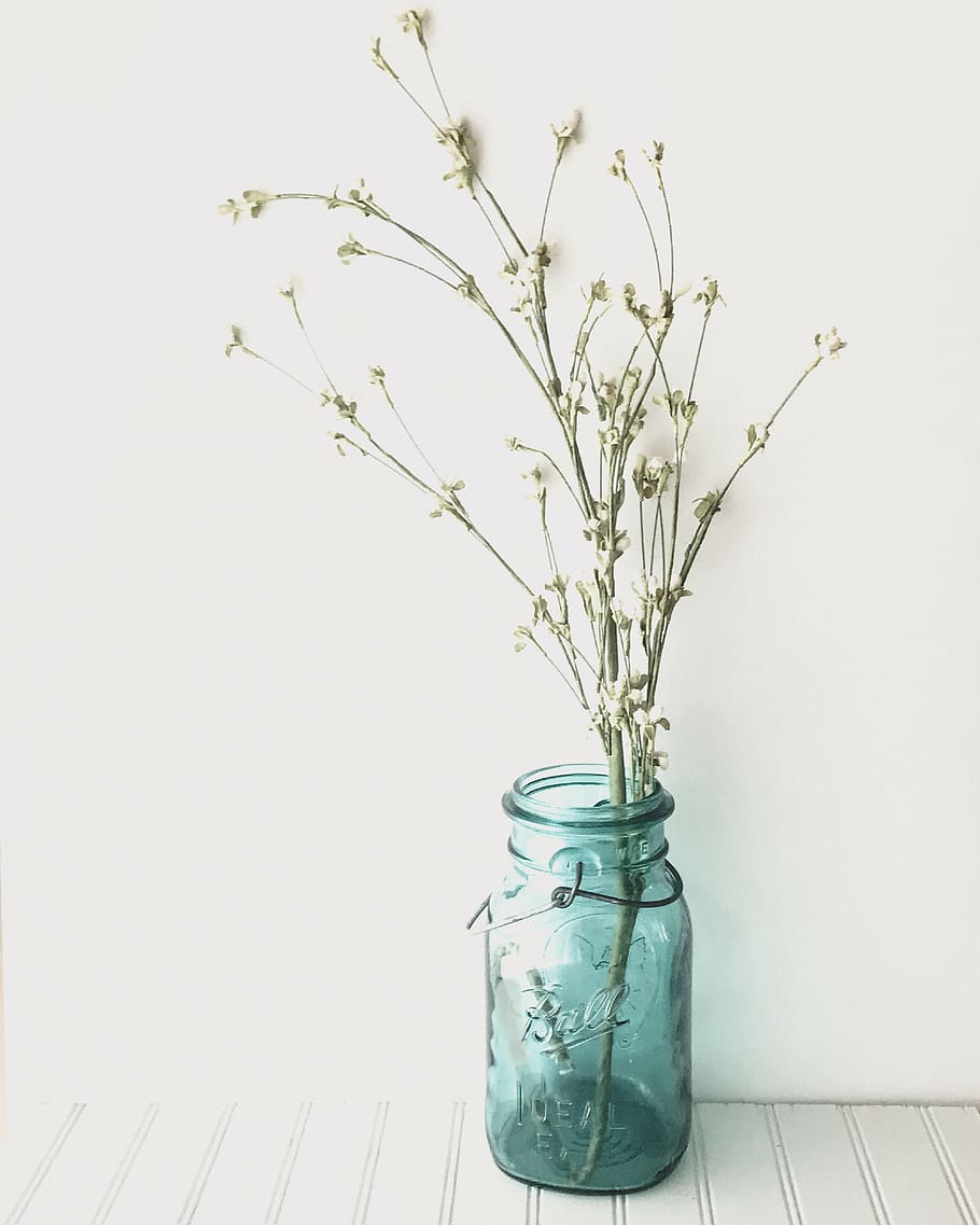 vase, plant, indoors, flowering plant, nature, no people, fragility HD wallpaper