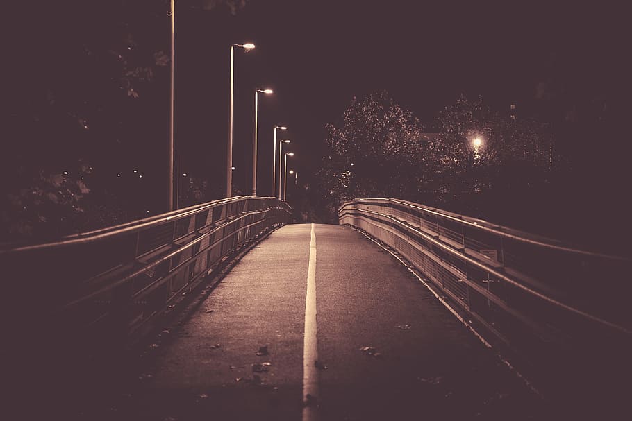 bridge, light, night, glow, dark, yellow line, fence, trees HD wallpaper