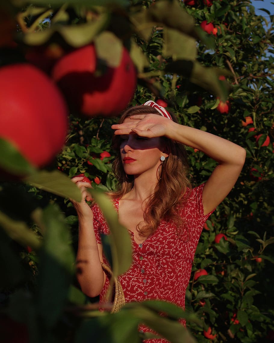 woman standing beside apple tree, plant, human, person, leaf, HD wallpaper