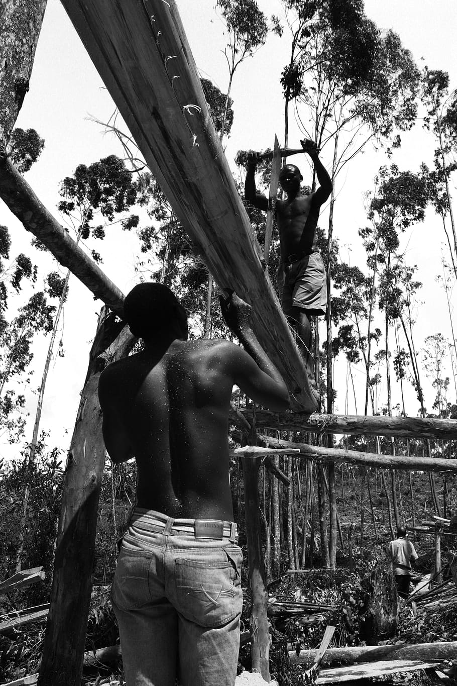 work, africa, blackandwhite, real people, tree, shirtless, men HD wallpaper