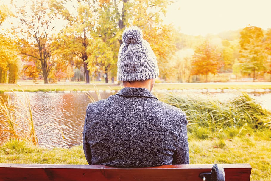 A young man sitting on a bench at the park in autumn, rear view