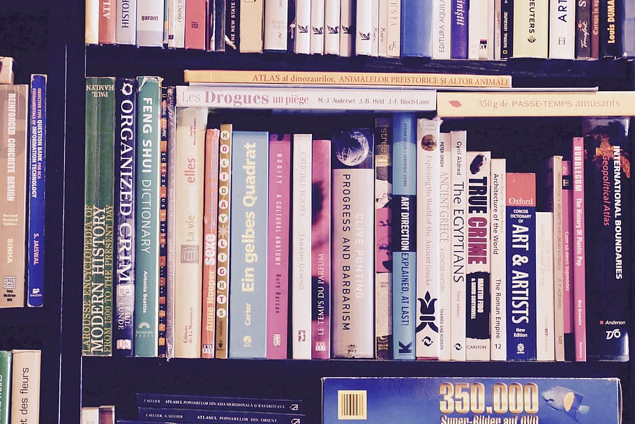 reader, library, bookstore, reading, education, shelf, publication HD wallpaper