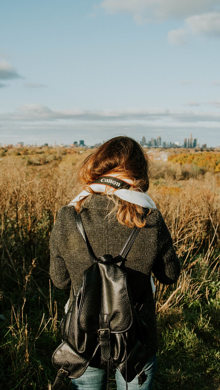 canada, windsor, fall, winter, hill, mountain, detroit, model HD wallpaper