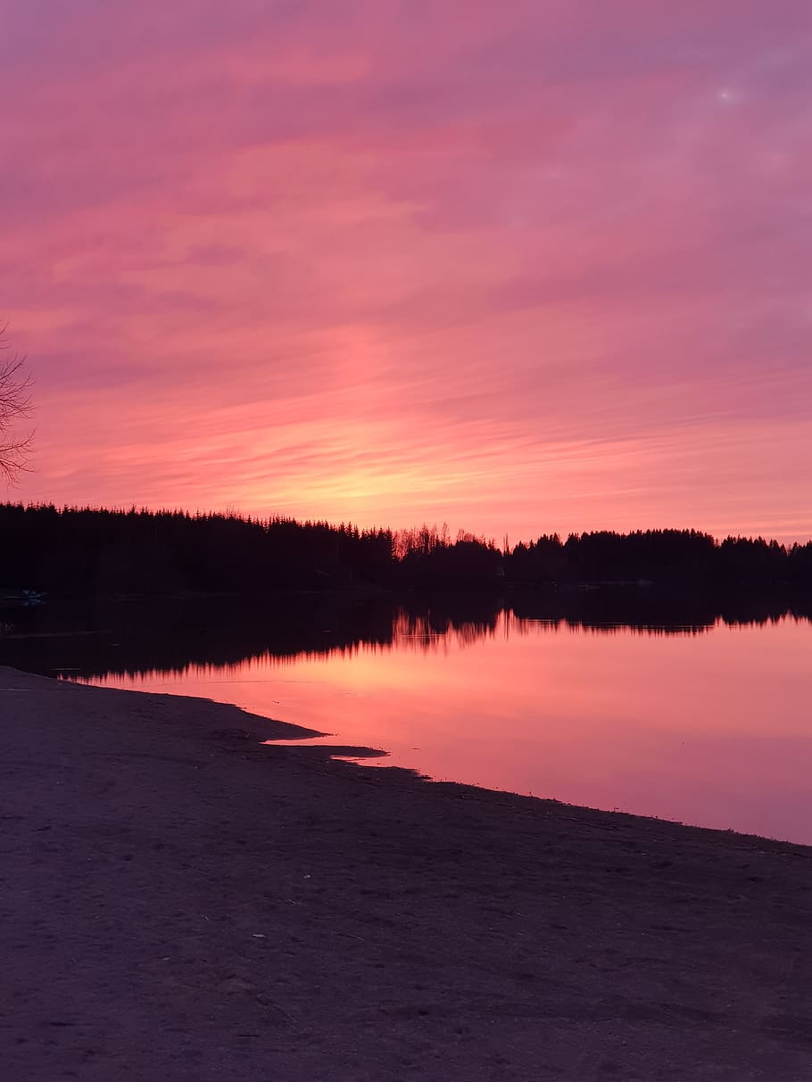 Silhouette of Trees during Sunset, backlit, beach, clouds, dark HD wallpaper