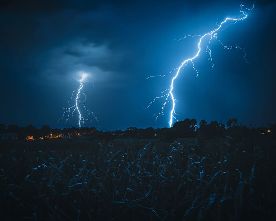 lightning struck on Forrest, storm, bolt, strike, blue, field, HD wallpaper
