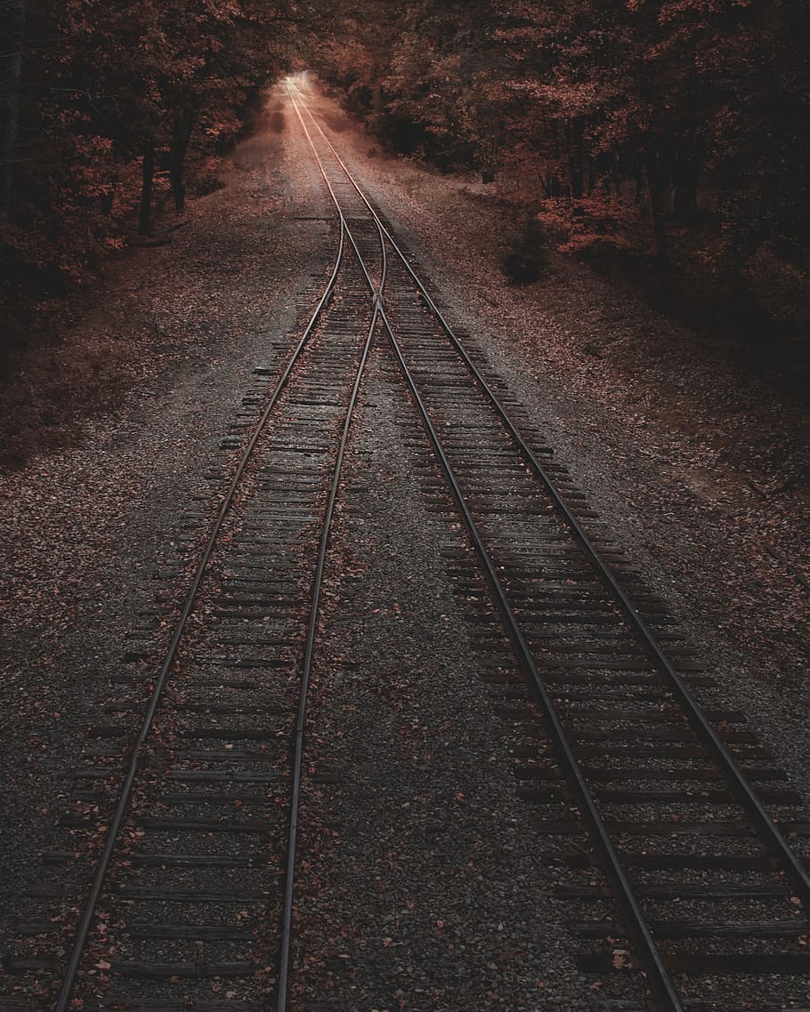 train railway, railroad, wood, dark, moody, track, forrest, fall, HD wallpaper