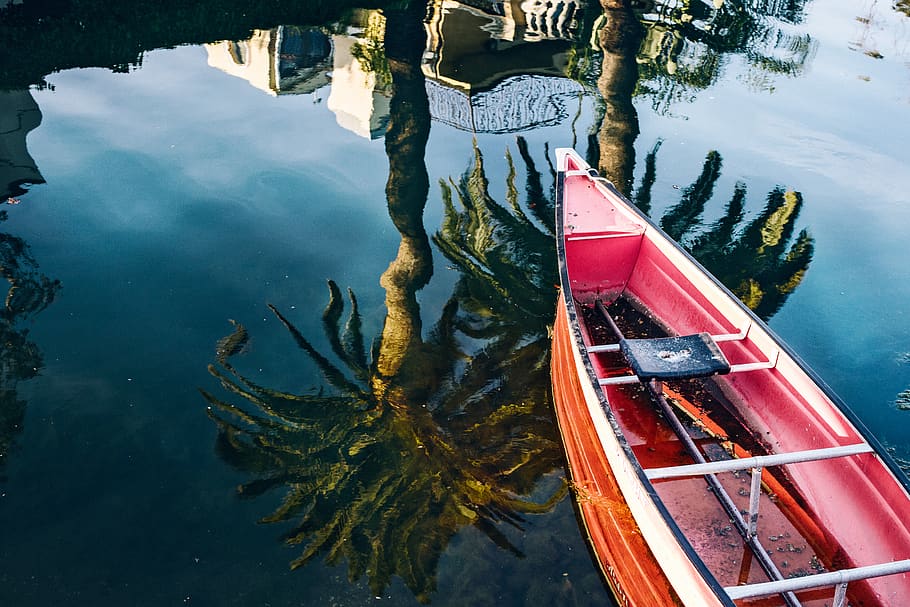wallpaper, palm tree, boat, lake, water, reflection, nautical vessel HD wallpaper