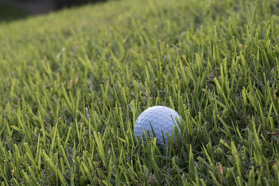 golf, green, field, grass, sport, golfers, ball, club, golf balls HD wallpaper