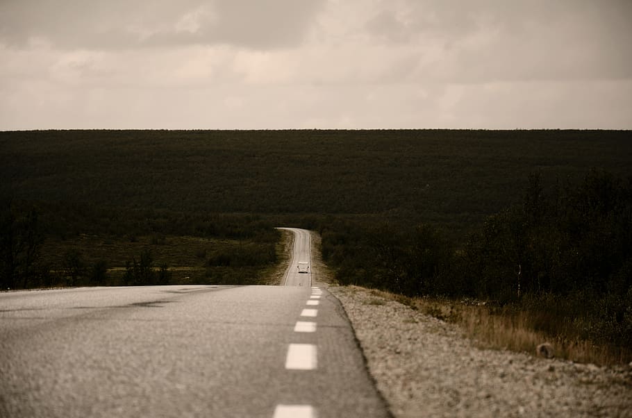 norway, norge, trees, forest, road, roadtrip, horizon, nordnorway HD wallpaper