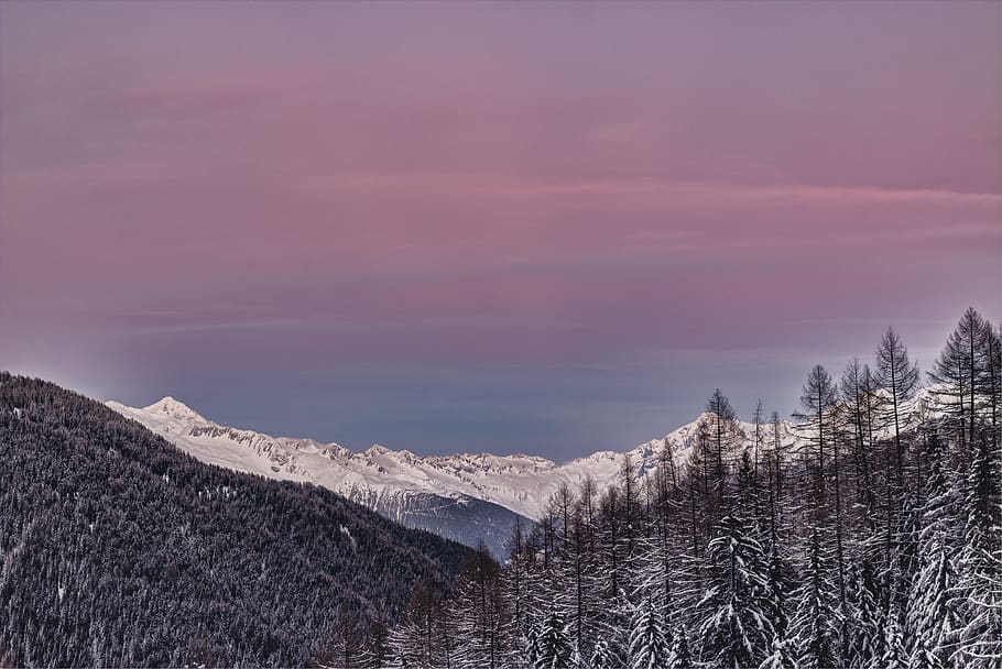 Photo of Mountains Covered with Snow and Surrounded with Trees HD wallpaper