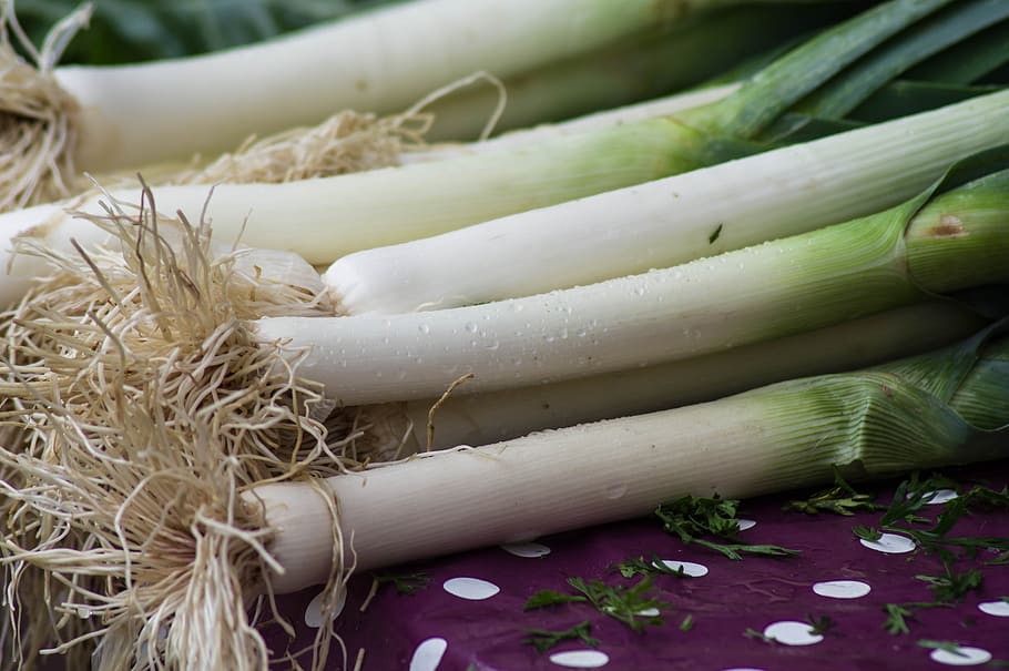 leeks, vegetables, garden, fall, harvest, food, food and drink HD wallpaper