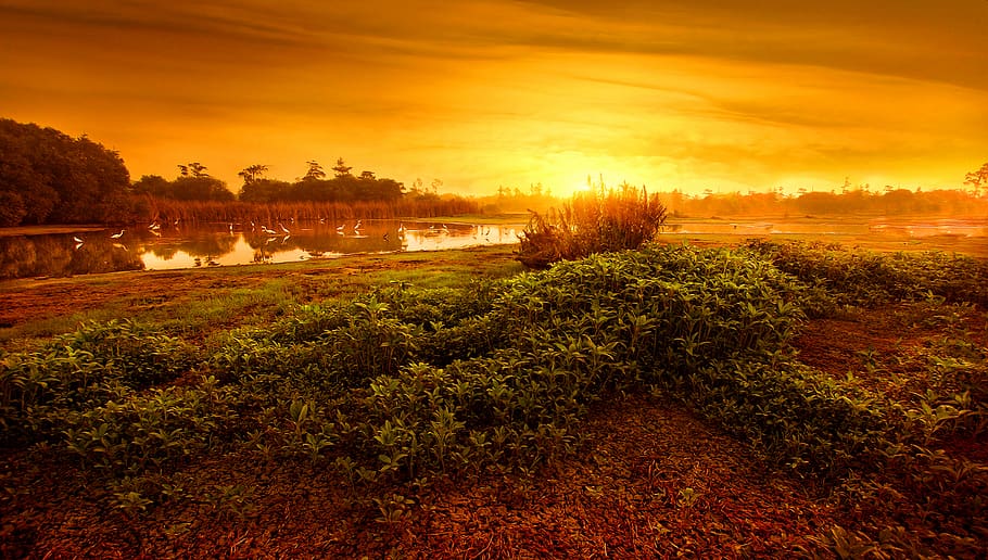 Calm Body of Water Surrounded by Grass during Golden Hour, clouds HD wallpaper