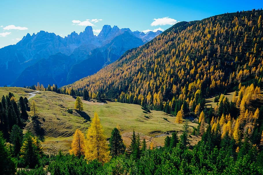Landscape Photography of Green Mountains, conifer, daylight, environment HD wallpaper