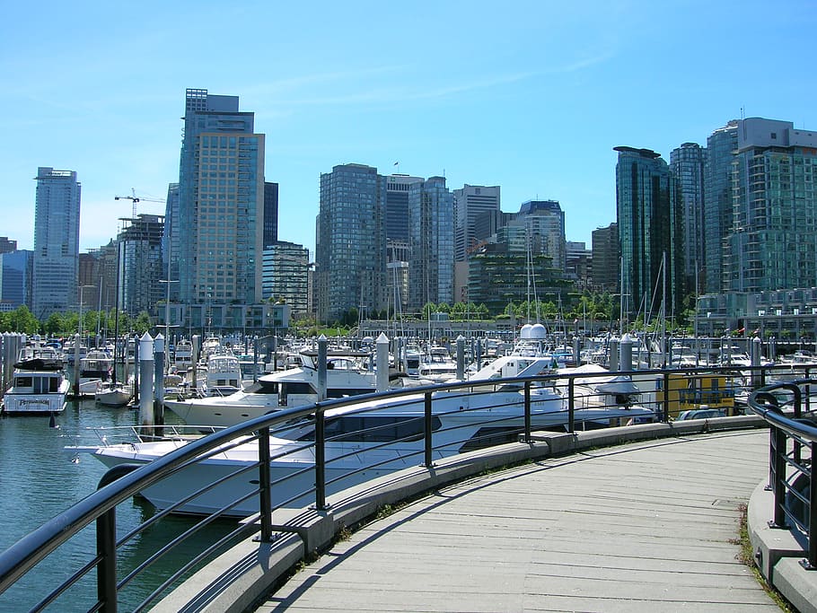 canada, vancouver harbour, yacht club, yachts, boat, skyline, HD wallpaper