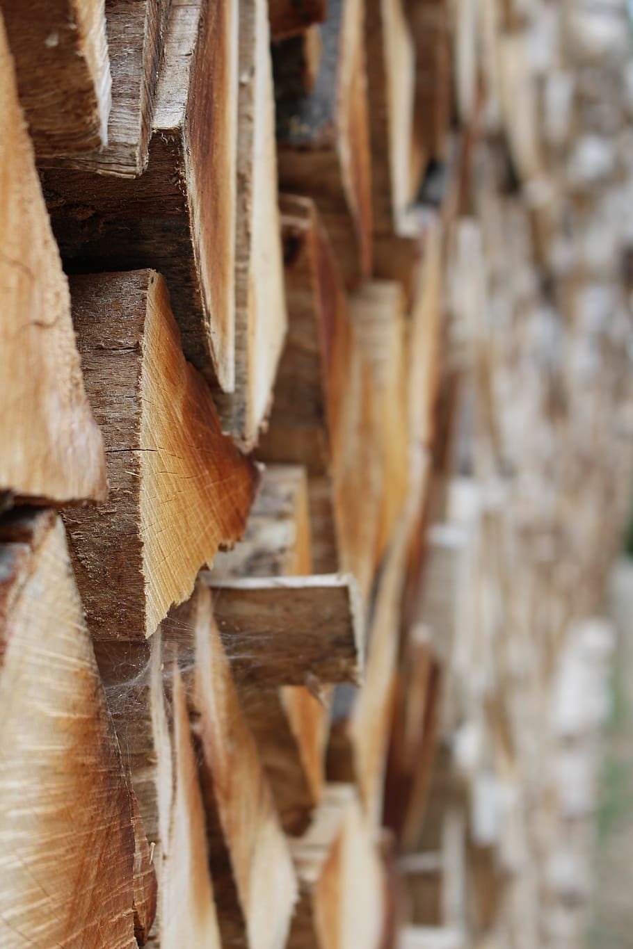 wood, timber, lumber, close up, pile, tree, forest, nature, HD wallpaper