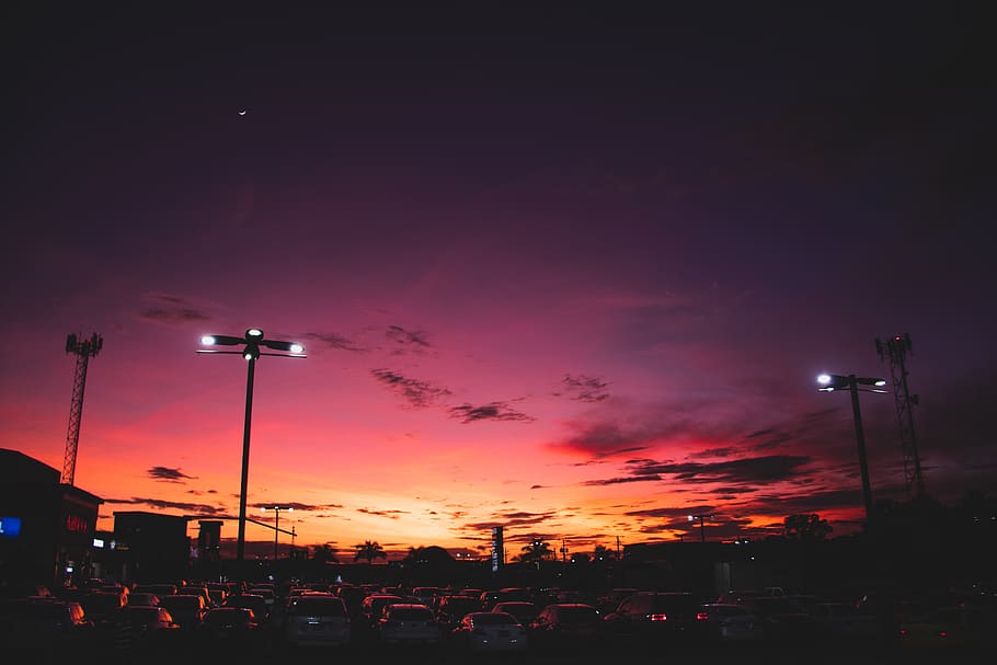 Vehicles Parked During Golden Hour, backlit, dawn, sky, sunrise HD wallpaper