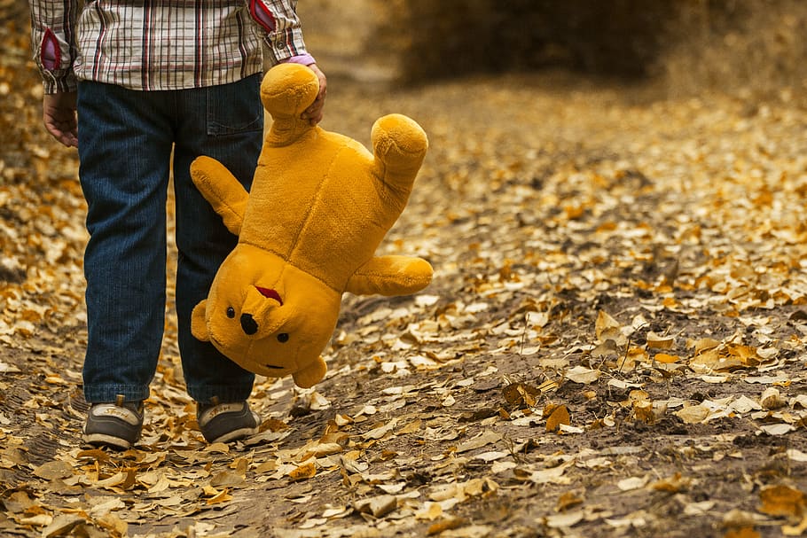 Boy Carrying Bear Plush Toy, child, dry leaves, kid, stuffed animal