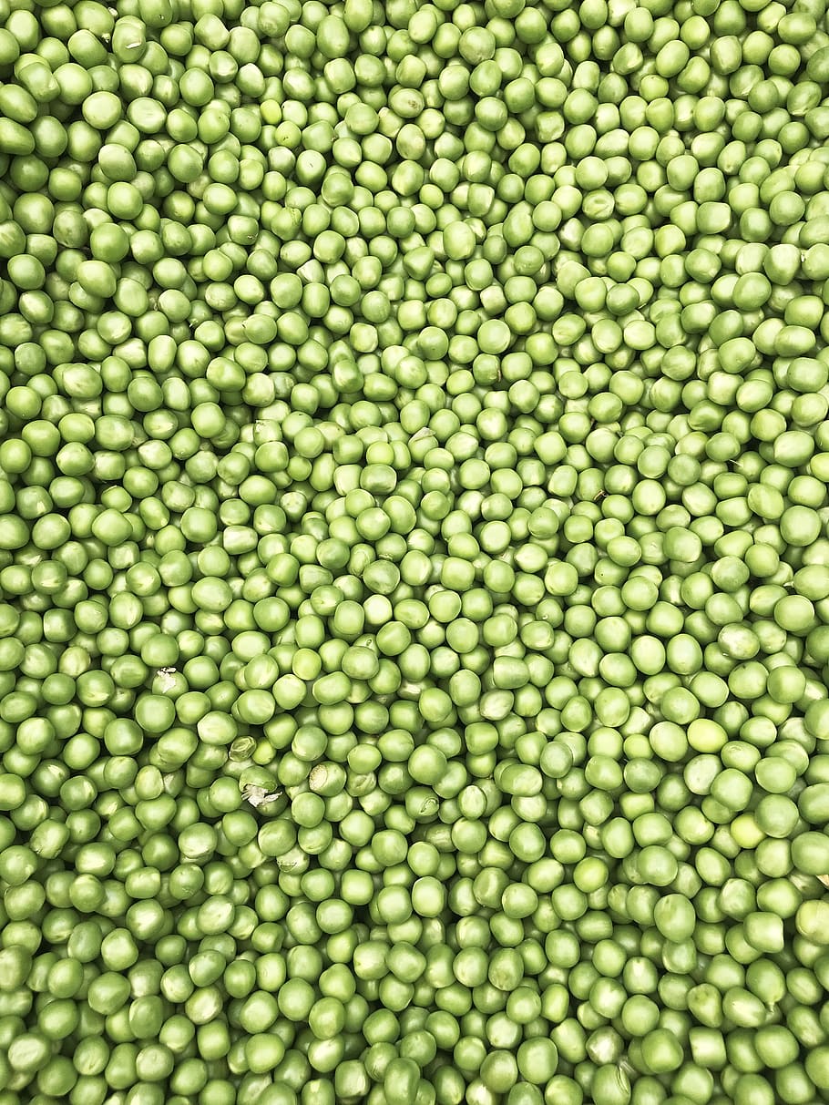 green beans, united states, los angeles, playa vista, plant, vegetable HD wallpaper