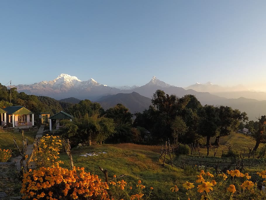 nepal, dhampus, dhampus 33700, mountain, sky, plant, beauty in nature, HD wallpaper