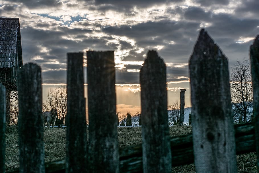 tomb, sunlight, flare, tombstone, building, architecture, steeple HD wallpaper