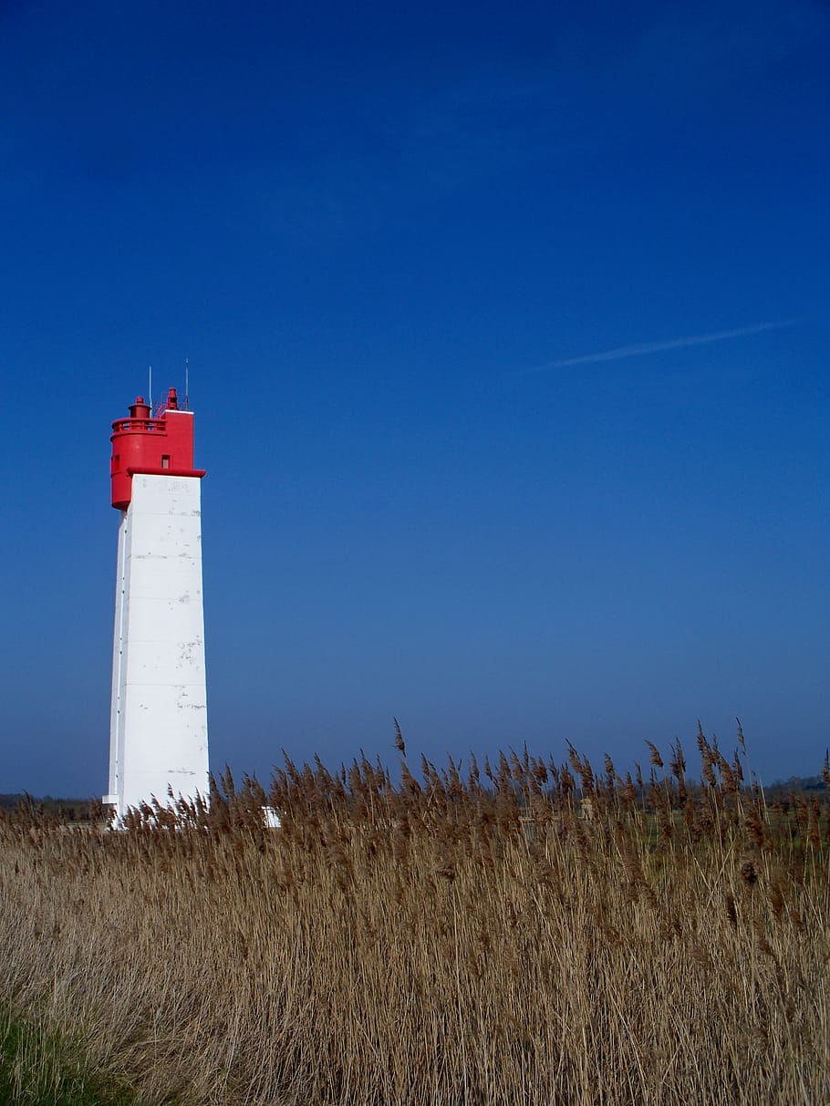 tower, building, architecture, lighthouse, beacon, plant, grass HD wallpaper
