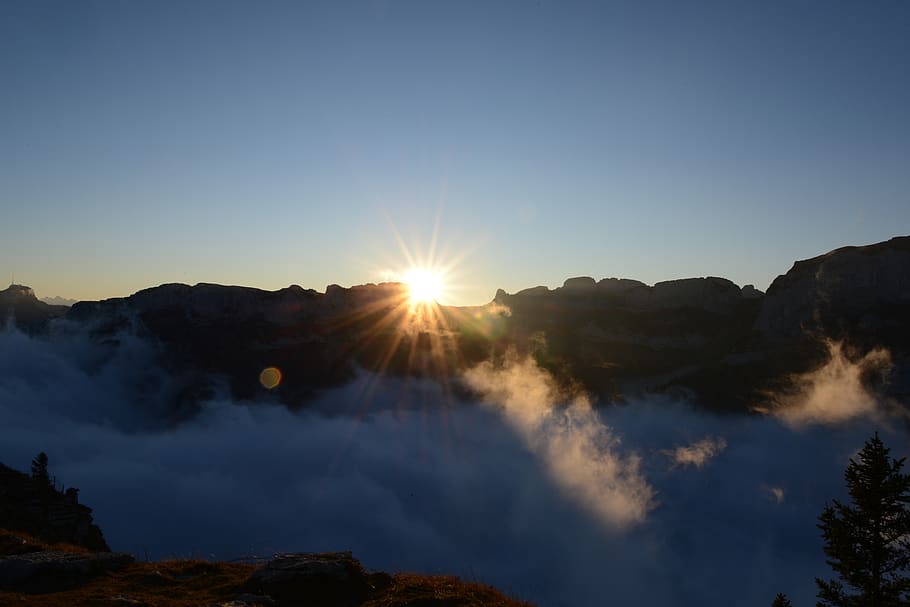 fog, sun, alpine, mountains, appenzell, sky, beauty in nature HD wallpaper