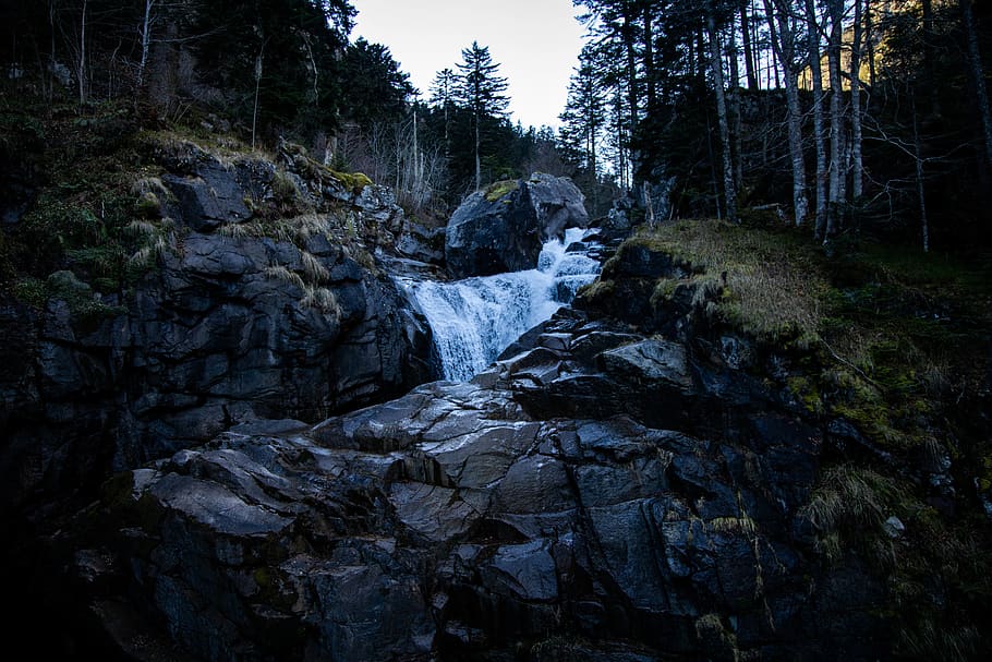 waterfalls in forest, nature, outdoors, river, fir, plant, abies HD wallpaper