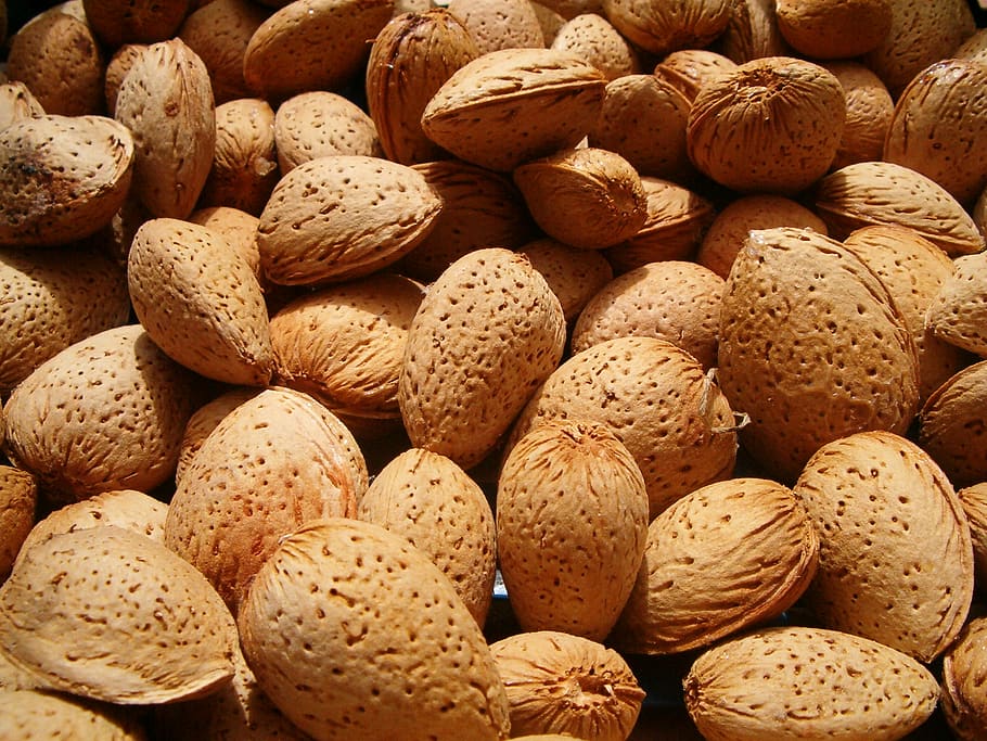 portugal, fruit, almonds, food, food and drink, backgrounds HD wallpaper