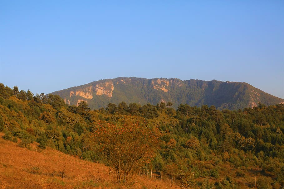 mountain, landscape, forest, nature, trees, rural, outdoor HD wallpaper
